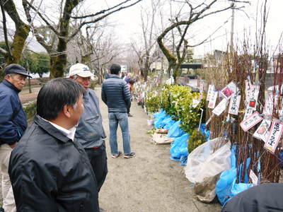 きくち初市　熊本県菊池市に春の訪れを告げる恒例の植木市　2017　御所通りにまつわる歴史探索　その１_a0254656_1942897.jpg