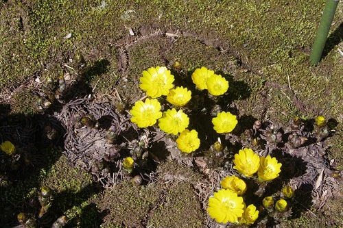 d0164761_11343028.jpg