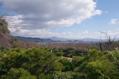 d0164761_19010720.jpg