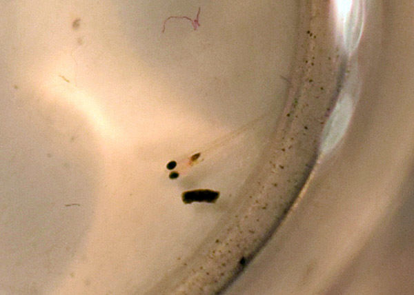 c0218063_20250951.jpg