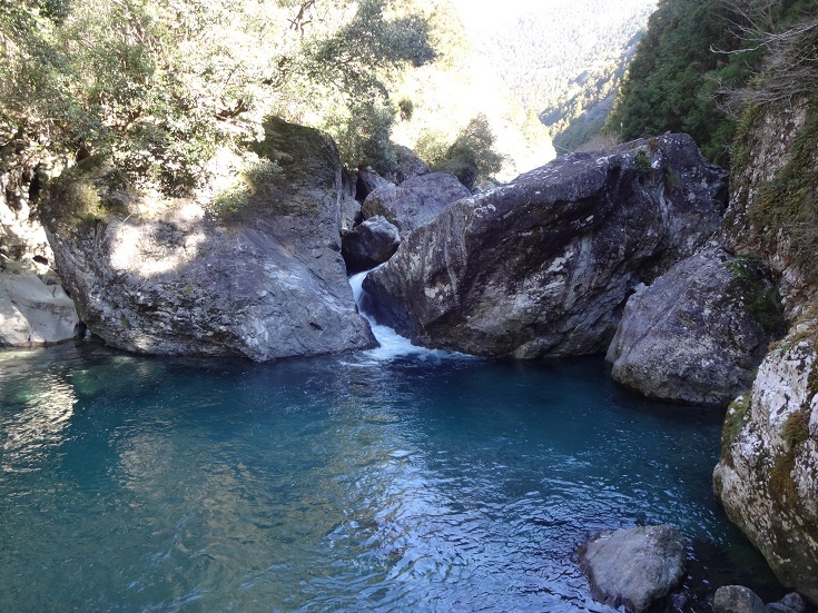 f0362263_20225520.jpg