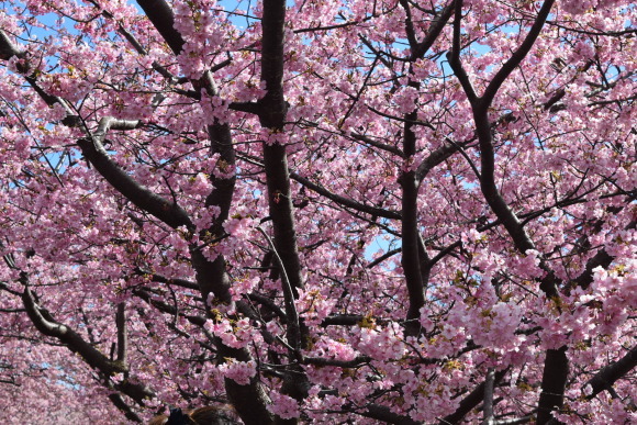 b0242873_00550730.jpg