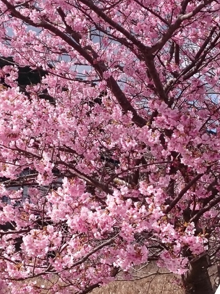 b0242873_01095670.jpg