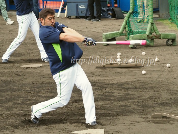 2017ヤクルトキャンプ畠山和洋選手フォト(動画ﾘﾝｸ3)_e0222575_12345885.jpg