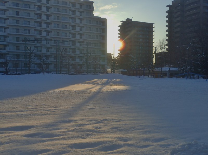 ２月２８日　朝７時　－７．３℃　積雪深８１ｃｍ　_c0183777_7591960.jpg