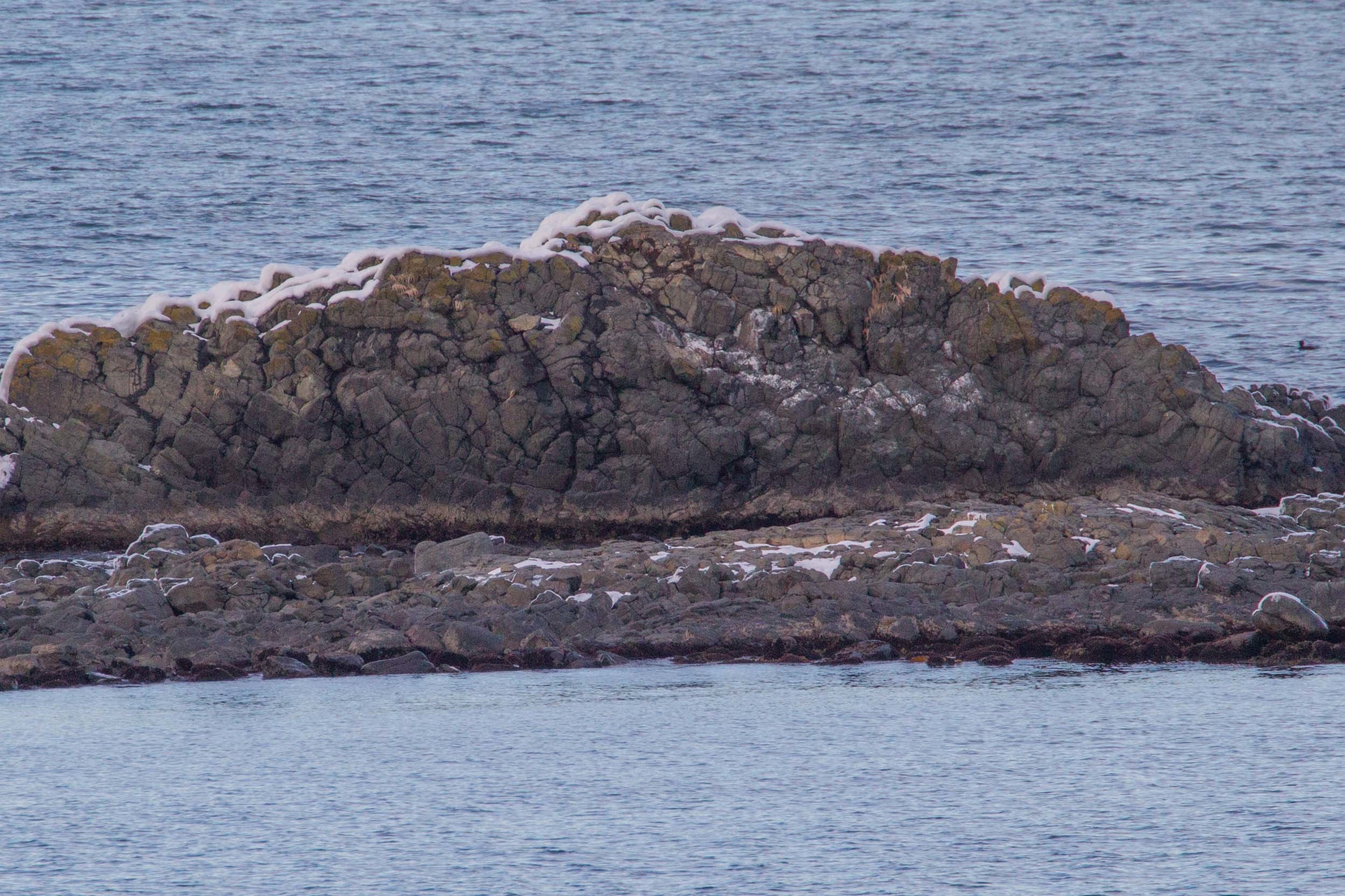 a0052080_21231145.jpg