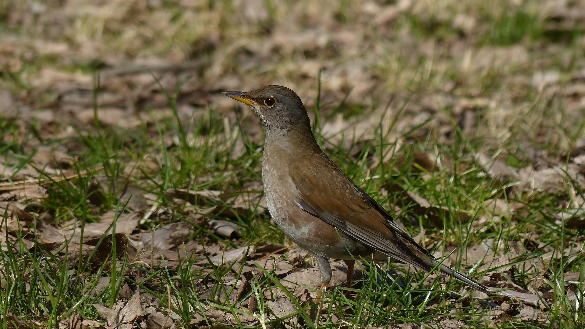 a0185081_10512870.jpg