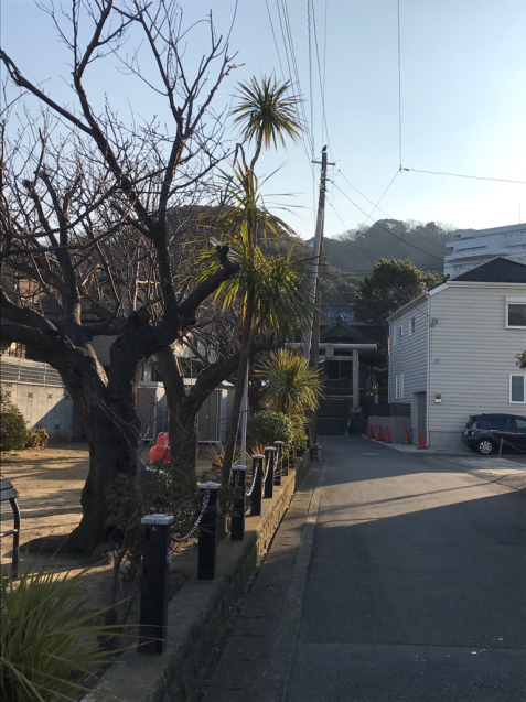 f0298891_16363763.jpg