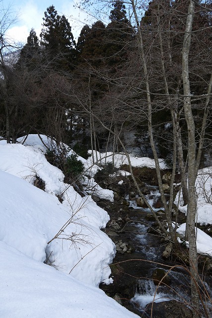 雪のマキノ高原へ_a0233896_16575986.jpg