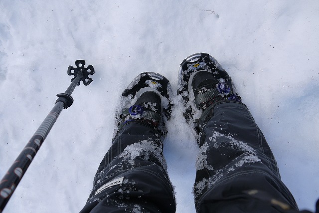 雪のマキノ高原へ_a0233896_16592952.jpg