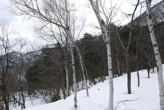 雪のマキノ高原へ_a0233896_1701459.jpg