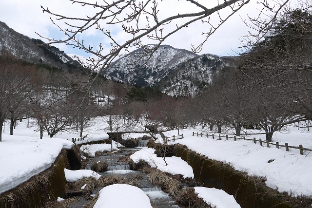 雪のマキノ高原へ_a0233896_1775584.jpg
