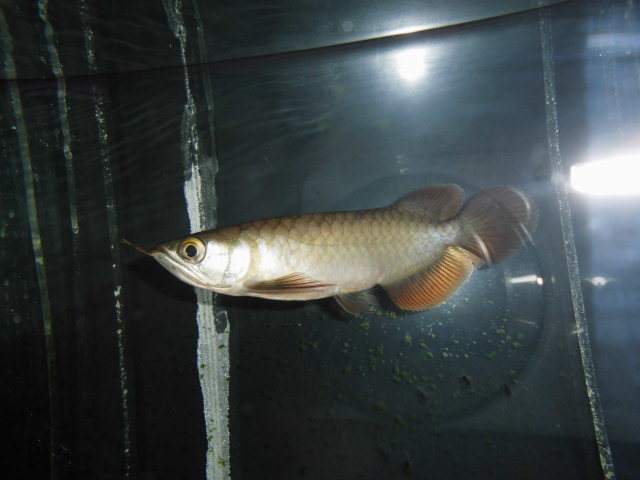 e0143096_13111230.jpg