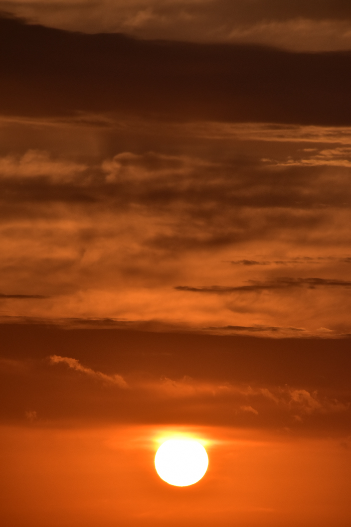 c0049299_21593315.jpg
