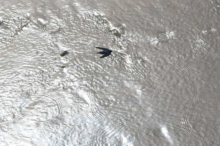 c0049299_23084894.jpg