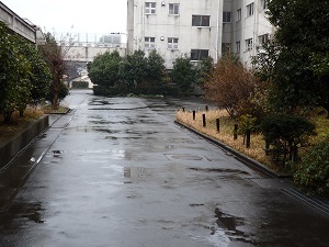 b0364601_16400585.jpg