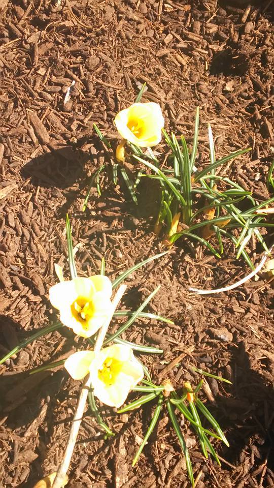 明日行けば、クビにならなくてすみますぅ～！！_b0331802_21561988.jpg