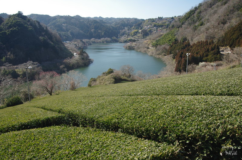 d0342307_00015925.jpg