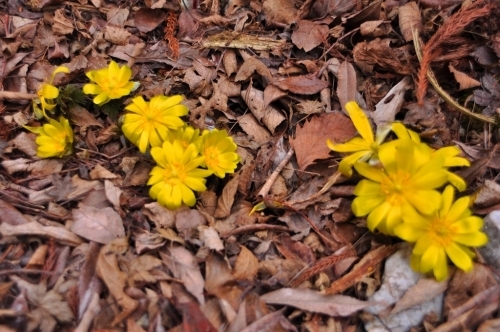 e0314407_11013102.jpg