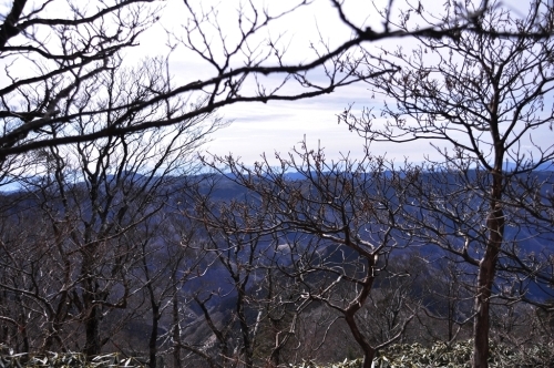 e0314407_11013277.jpg