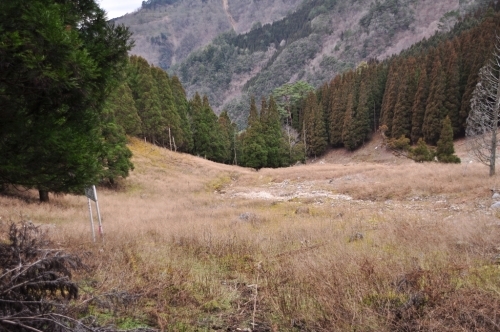 e0314407_11013300.jpg