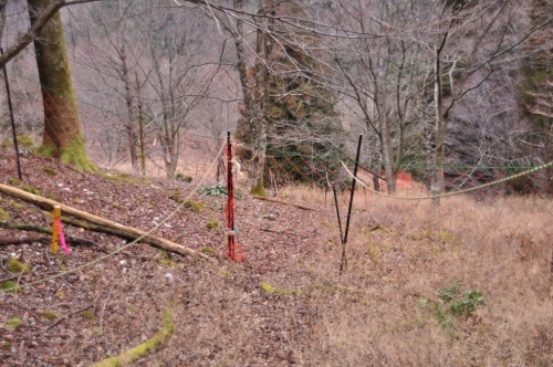 e0314407_11013315.jpg