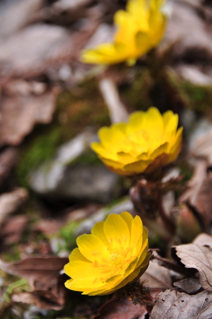 e0314407_11014004.jpg