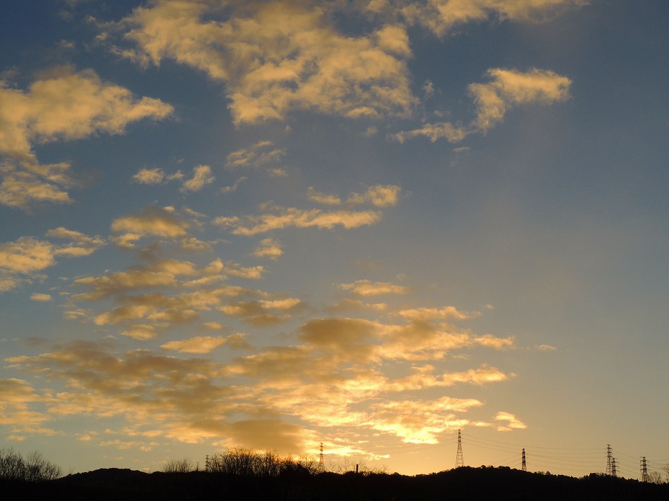 e0372207_2323754.jpg