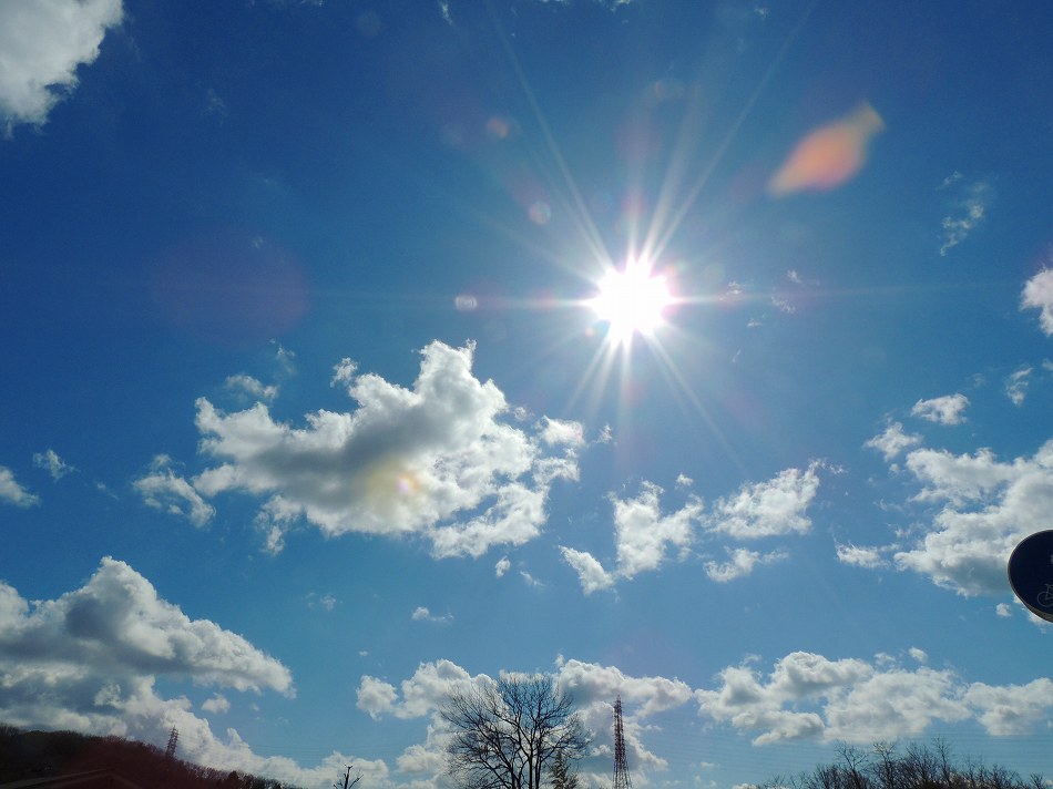 e0372207_2335966.jpg