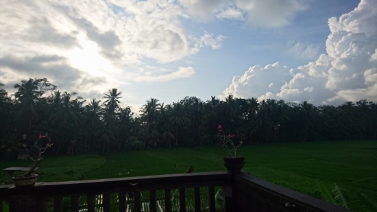 Pondok Tropical ～Room#03～再訪記録 @ Jl.Guning Sari, Peliatan (\'16年9月編)_f0319208_0155878.jpg