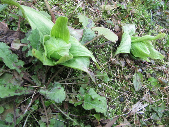 f0231709_11203281.jpg