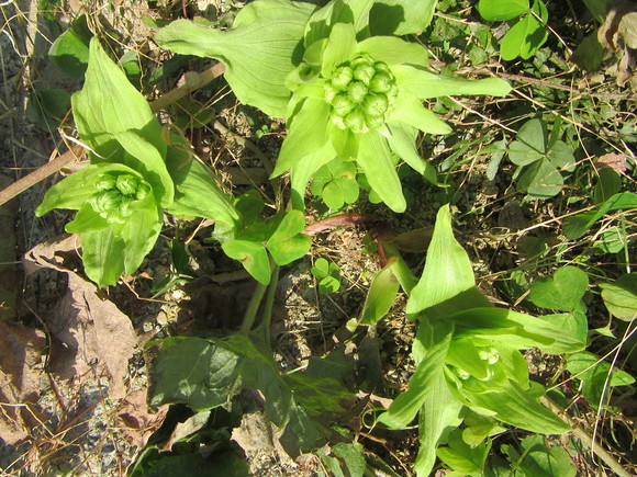 f0231709_11212466.jpg