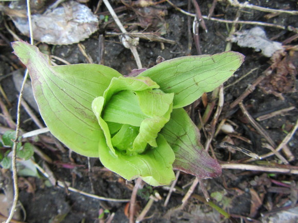 f0231709_11235332.jpg