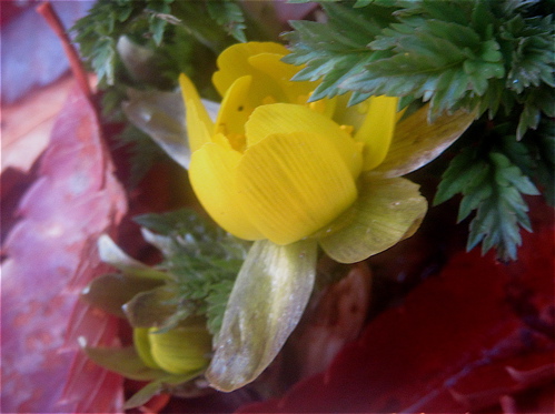 a0164011_21472134.jpg