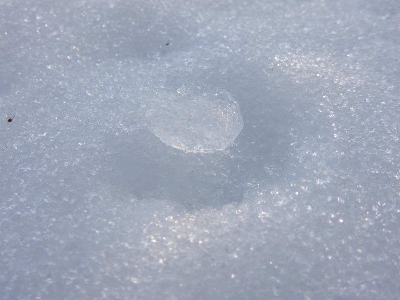 15日ぶりの最低気温プラス日になりそう_c0025115_21071304.jpg