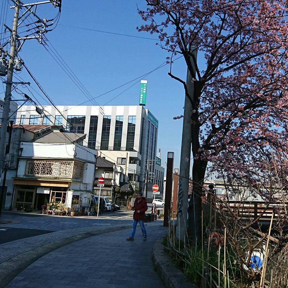 a0125419_04531366.jpg
