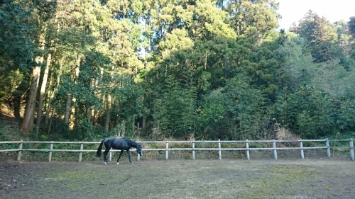 b0187620_20503523.jpg