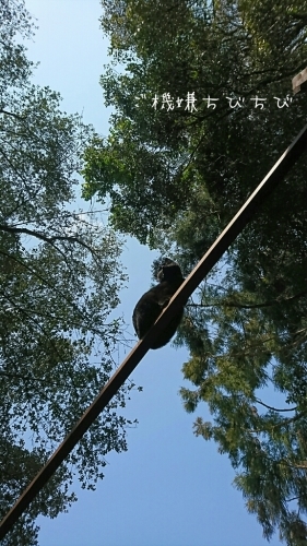 b0187620_20520073.jpg
