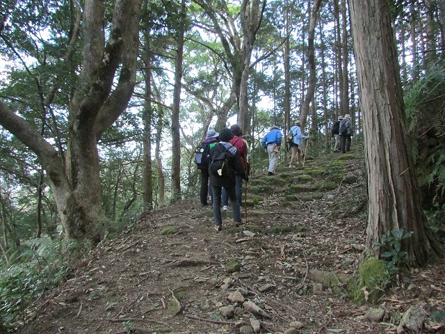 熊野古道曽根次郎坂・まちなかコースを歩く_e0321325_10235416.jpg