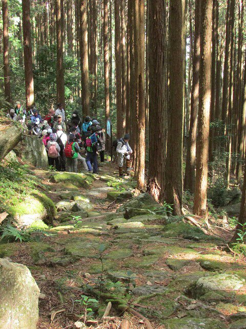 熊野古道曽根次郎坂・まちなかコースを歩く_e0321325_10272118.jpg