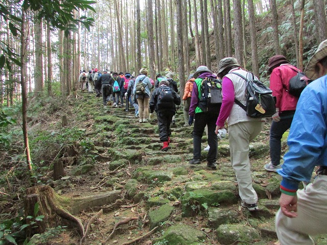 熊野古道曽根次郎坂・まちなかコースを歩く_e0321325_10311187.jpg
