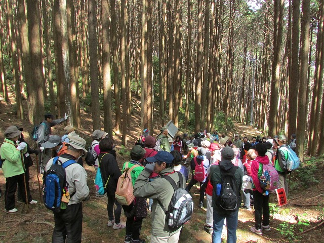 熊野古道曽根次郎坂・まちなかコースを歩く_e0321325_10331679.jpg