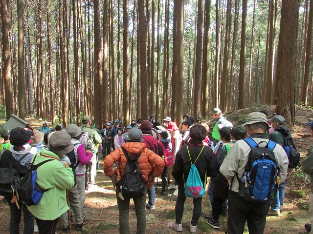 熊野古道曽根次郎坂・まちなかコースを歩く_e0321325_10352531.jpg