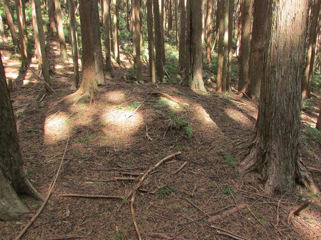 熊野古道曽根次郎坂・まちなかコースを歩く_e0321325_1035382.jpg