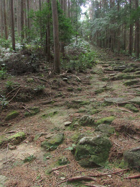 熊野古道曽根次郎坂・まちなかコースを歩く_e0321325_1037783.jpg