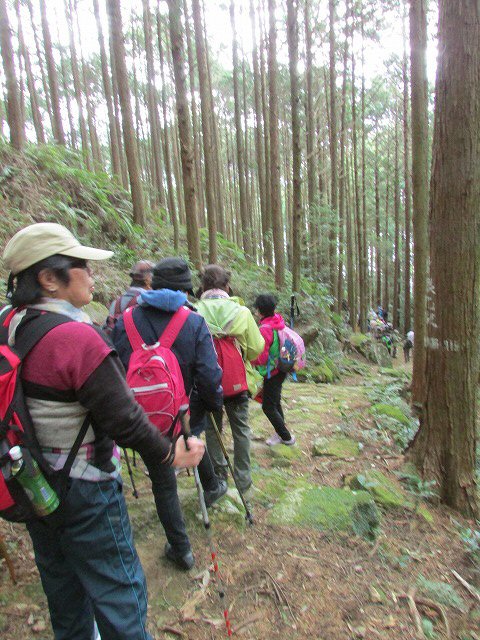 熊野古道曽根次郎坂・まちなかコースを歩く_e0321325_10384167.jpg