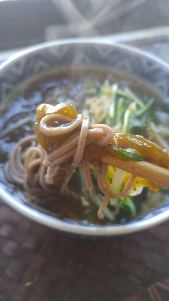 沖縄の「新もずく」で蕎麦_c0124528_11462519.jpg