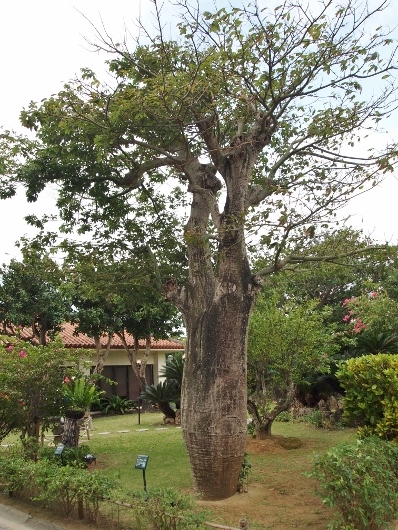 f0013029_16531343.jpg