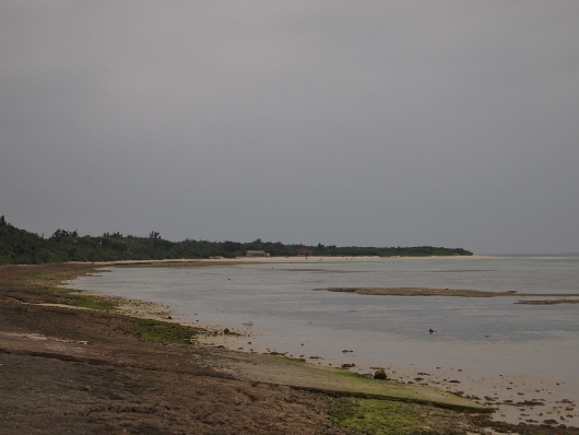 f0013029_1656535.jpg