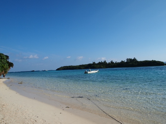 f0013029_17102145.jpg